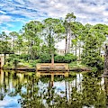 City Park