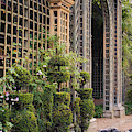 Trellis Corridor