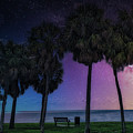 Colorful Florida Nights