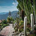 Walk along the Garden of Eze
